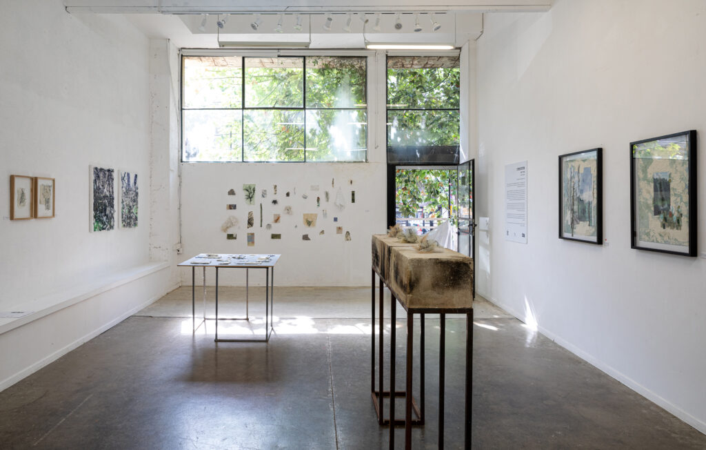 B.Y5 Gallery