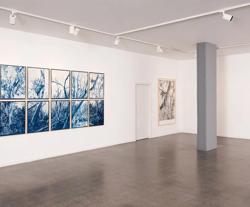 Litvak Contemporary