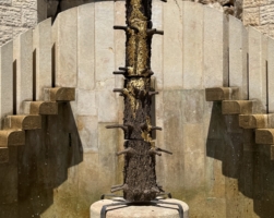 Details Image