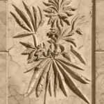 WhatsApp Image 2025-11-11 at 12.09.47_c10fb79d