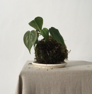 Screenshot-2025-12-04-at-14.40.43