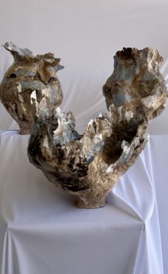 WhatsApp Image 2025-12-08 at 13.59.59 (1)