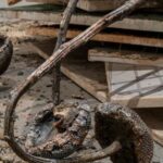 Anselm Kiefer, Ages of the World (3)