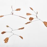 WhatsApp Image 2026-02-16 at 11.08.37 (1)