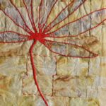 WhatsApp Image 2026-02-25 at 22.17.15 (1)