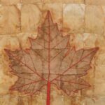 WhatsApp Image 2026-02-25 at 22.17.15 (4)