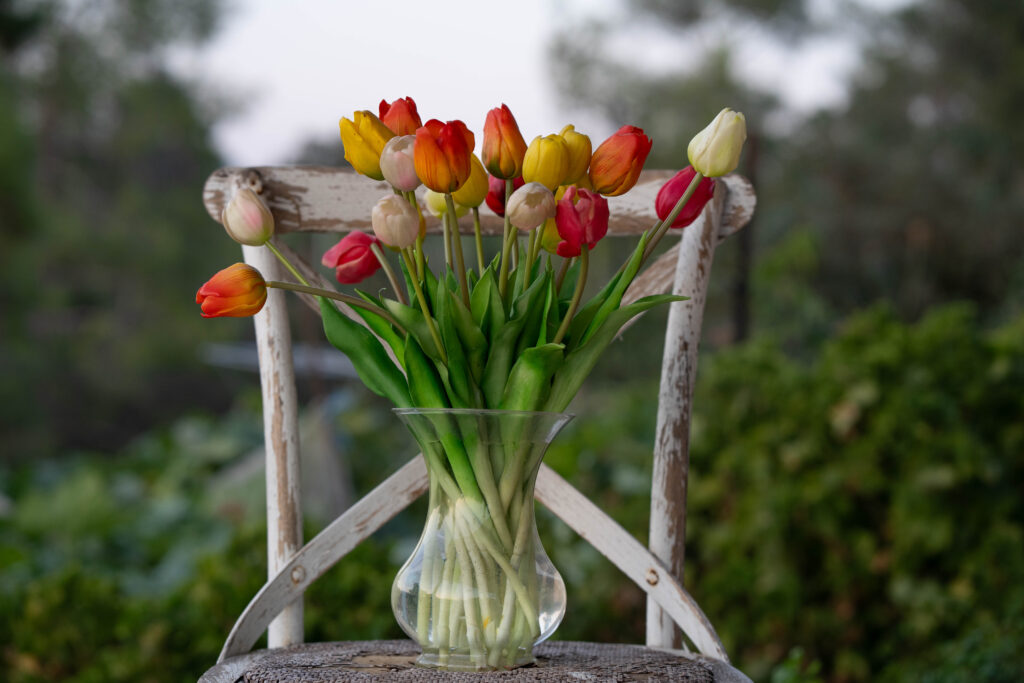 תמר-שליט-אבני-2024-חפצלב-1