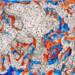 WhatsApp Image 2026-04-20 at 16.41.39 (2)