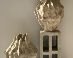 Details Image