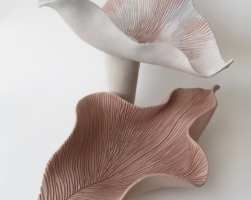 Details Image