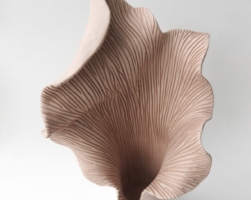 Details Image