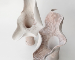 Details Image