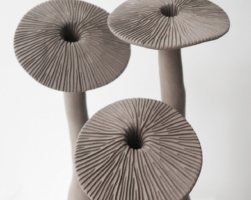 Details Image