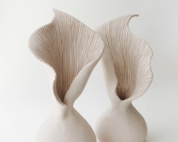 Details Image